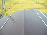 屋根　塗装後
雪止めアングルはステンレス製に交換。